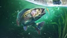 Ultimate Fishing Simulator 2 - data wydania dla PC