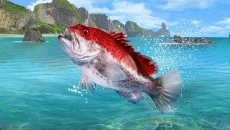 Fishing Clash - gra w gatunku Gra sportowa