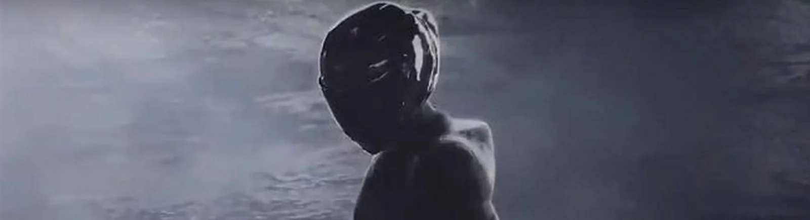 Kup RiMS Racing tanio, zniżki do 90% 🏷️, porównanie cen w różnych sklepach