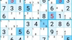 Sudoku Challenge - gra w gatunku Łamigłówka
