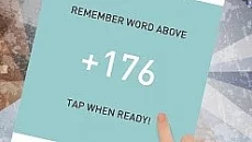 Spelling Pro - gra w gatunku Łamigłówka