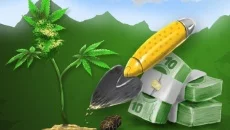 Cannabis Farmer Strain Master - gra w gatunku Wirtualna rzeczywistość (VR)