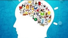 Big Brain Academy jest podobna do Big Brain Academy