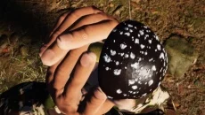 Smuggler Simulator jest podobna do Smuggler Simulator