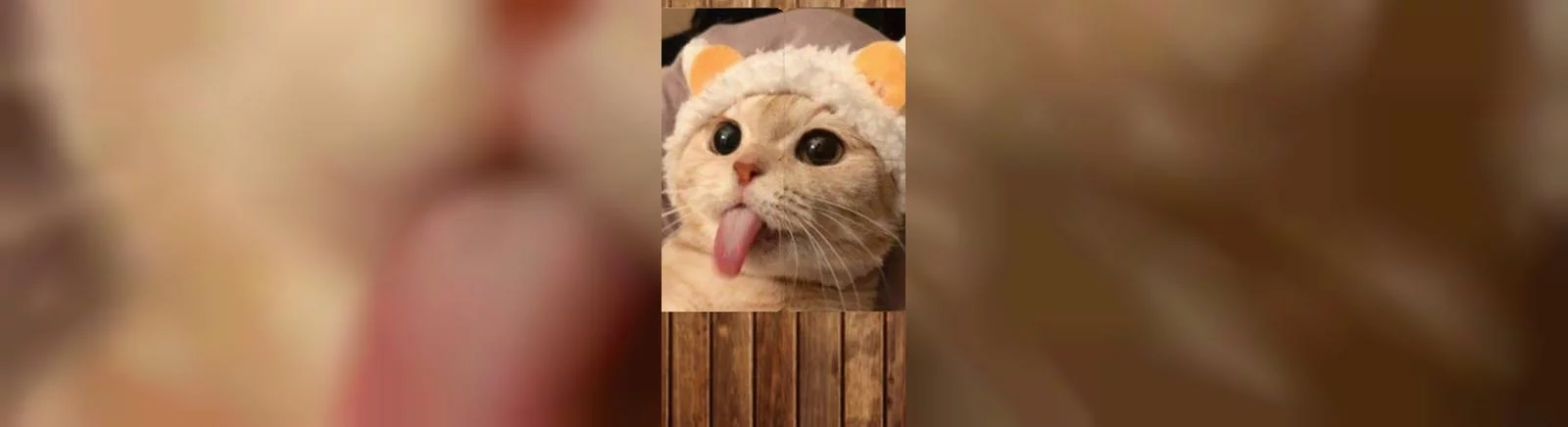 Forum Healing Matching Puzzle