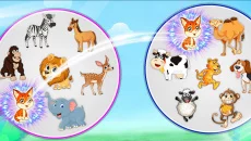 Match it - Find the matching - gra w gatunku Gra edukacyjna (Edukacja)