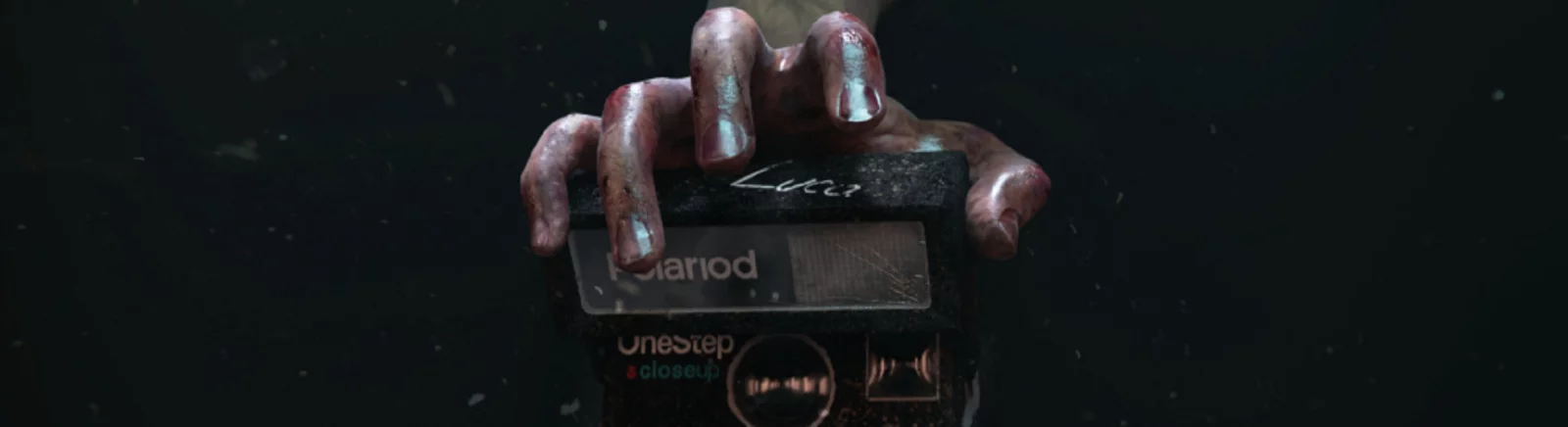 Kup MADiSON tanio, zniżki do 90% 🏷️, porównanie cen w różnych sklepach