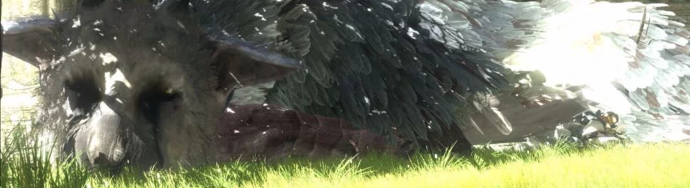 Kup Last Guardian tanio, zniżki do 90% 🏷️, porównanie cen w różnych sklepach