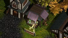 Magic Lands - gra w gatunku Izometria