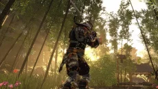 Shadow the Ronin: The Revenge - gra w gatunku Akcja