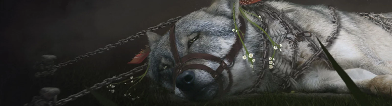 Data wydania Soulframe w różnych krajach na świecie