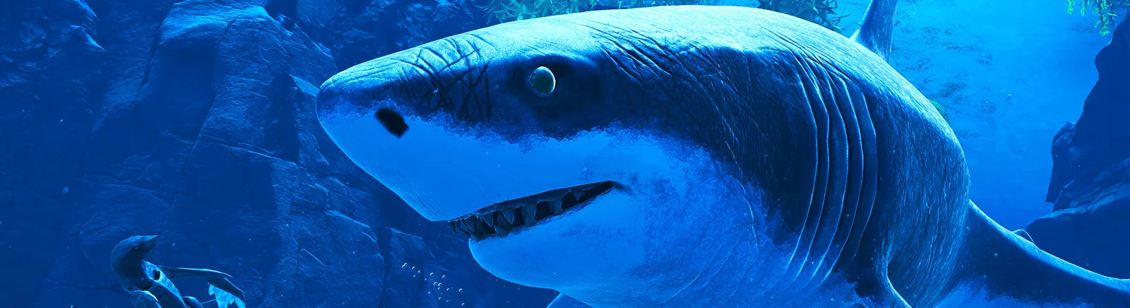 Data wydania Glaciered w różnych krajach na świecie