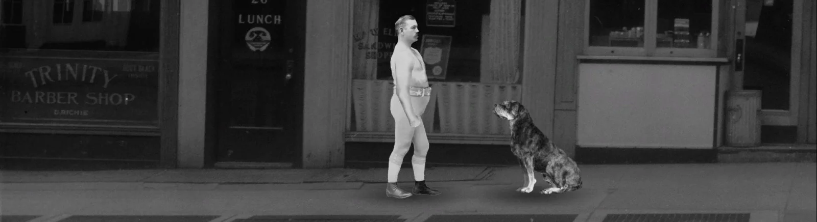 Data wydania BVOVB - Bruising Vengeance of the Vintage Boxer w różnych krajach na świecie