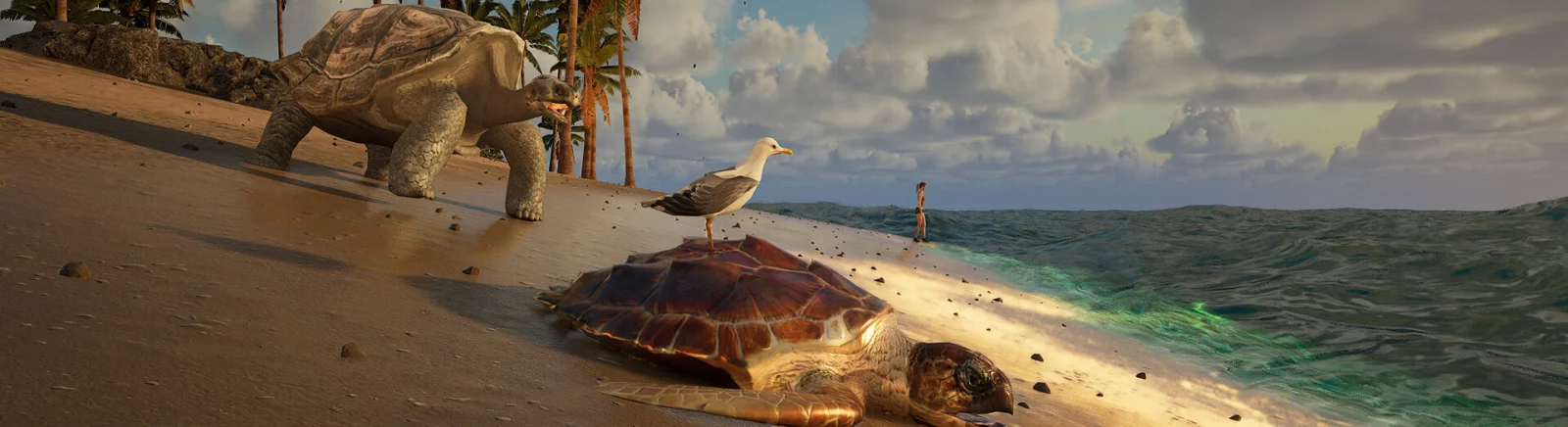 Kup Eden Island tanio, zniżki do 90% 🏷️, porównanie cen w różnych sklepach