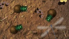 Isopod A RolyPoly Science Game - gra w gatunku Gra edukacyjna (Edukacja)