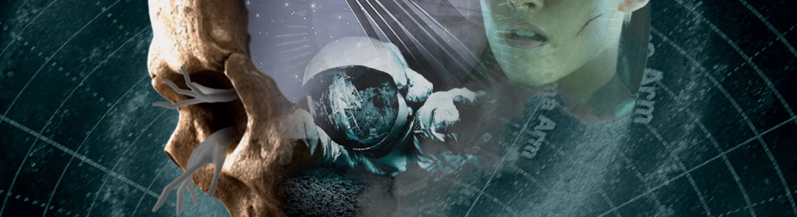 Data wydania Directive 8020 w różnych krajach na świecie