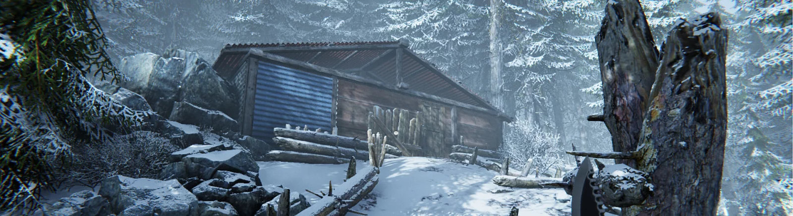 Kup Silence In The Cabin tanio, zniżki do 90% 🏷️, porównanie cen w różnych sklepach