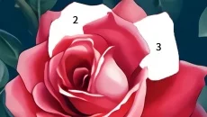 Color Painting-Color by Number - gra w gatunku Symulator