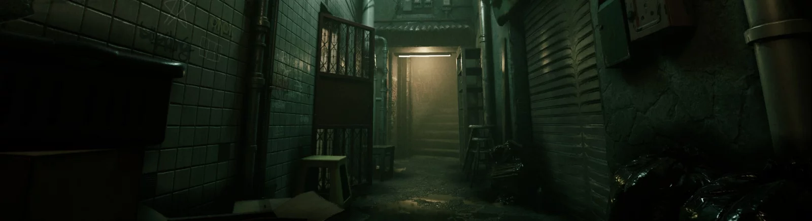 Data wydania Welcome to Kowloon w różnych krajach na świecie