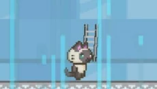 CAT AND LADDER CLIMB