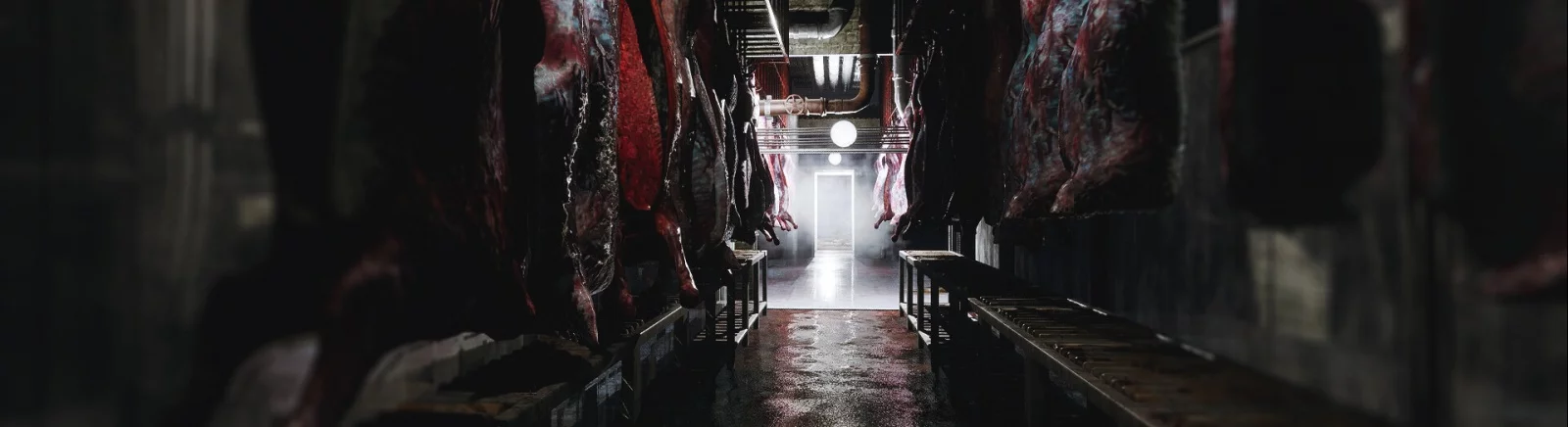 Kup Mia&#039;s Hunt tanio, zniżki do 90% 🏷️, porównanie cen w różnych sklepach