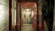 Hornet jest podobna do Hornet