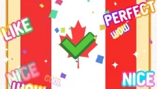 Flag Painting Puzzle - gra w gatunku Gra edukacyjna (Edukacja)