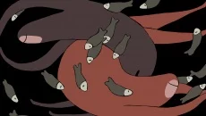 The Bear - A Story from the World of Gra - data wydania dla Android