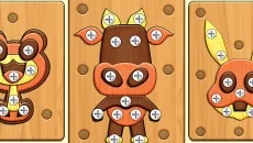 Screw Out Nuts & Bolts Puzzle