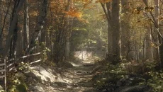 Aurora Hills: Chapter 1 - data wydania dla iOS