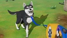 My Dog Life: Puppy Island Park - gra w gatunku Widok z pierwszej osoby