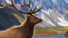 Cascadia