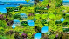 Let's Play Jigsaw Puzzles