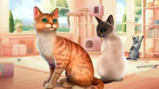 Cat Rescue Story - gra w gatunku Symulator