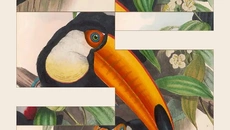 Art of Fauna: Cozy Puzzles - gra w gatunku Łamigłówka