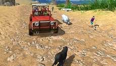 Animal Run: Wild Race - gra w gatunku Widok z trzeciej osoby