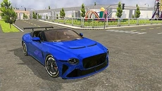 Samo: Open World Car
