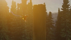 Fly Bird Obstacle 3D - gra w gatunku Platformówka