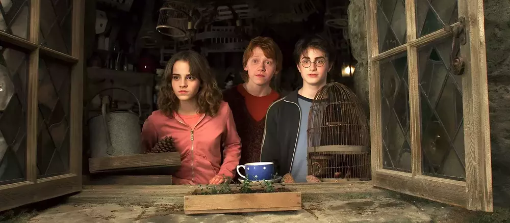 Test: Którą postacią z Harry'ego Pottera jesteś, Albusie Dumbledore czy Ciemnym Władcą?